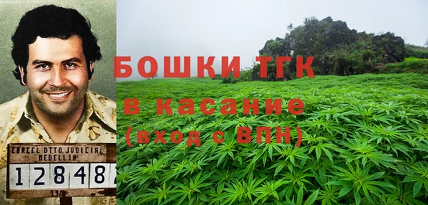 твердый Новодвинск