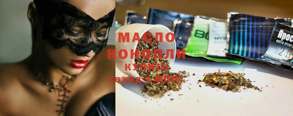 твердый Новодвинск