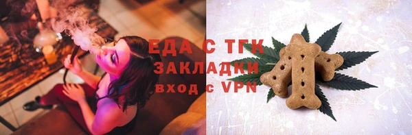 твердый Новодвинск