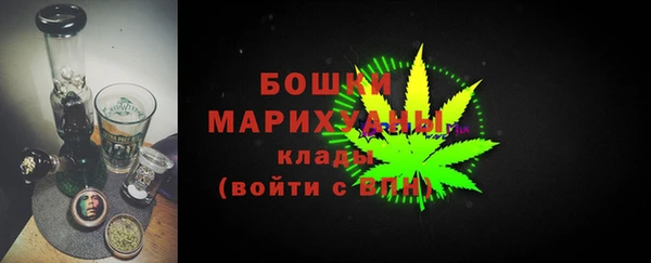 твердый Новодвинск