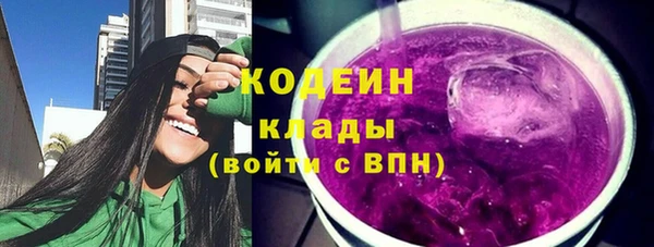 твердый Новодвинск