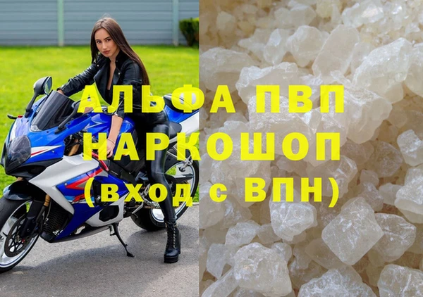 твердый Новодвинск