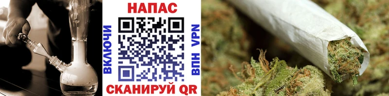 как найти наркотики  Староминская  Конопля планчик 